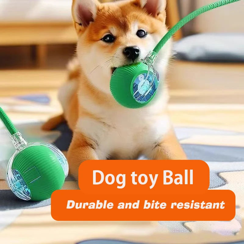 Automatic Rolling Ball Dog Toy - Self-Moving Interactive Ball for Dogs, Rechargeable