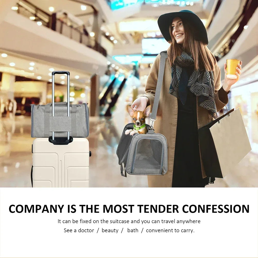 Foldable Pet Carrier Backpack – Breathable Bag for Cats & Dogs