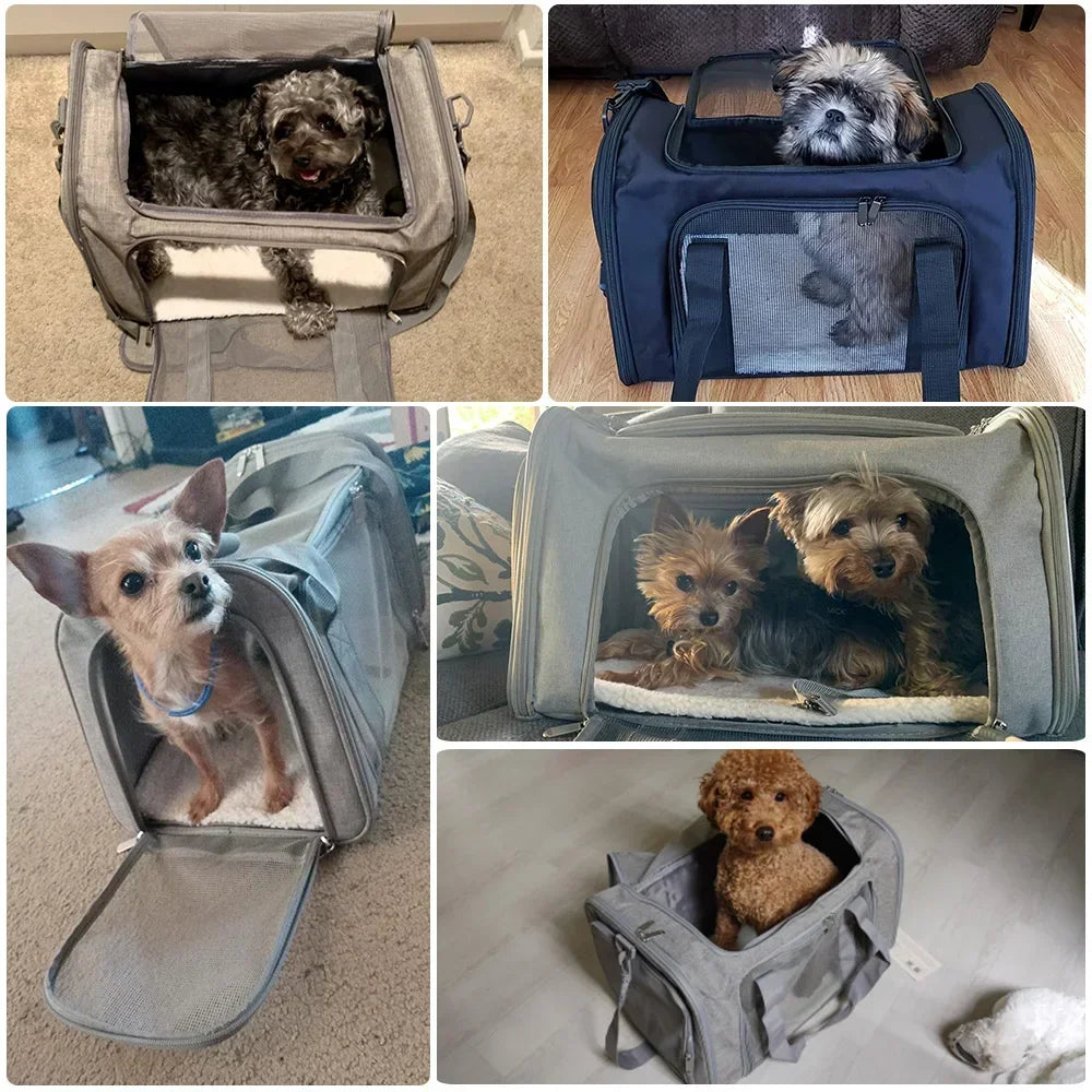 Foldable Pet Carrier Backpack – Breathable Bag for Cats & Dogs