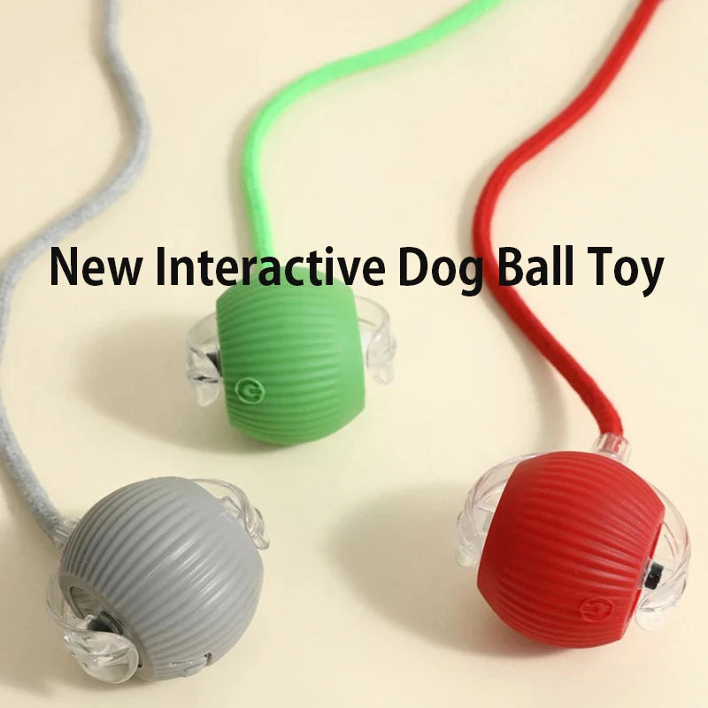 Automatic Rolling Ball Dog Toy - Self-Moving Interactive Ball for Dogs, Rechargeable