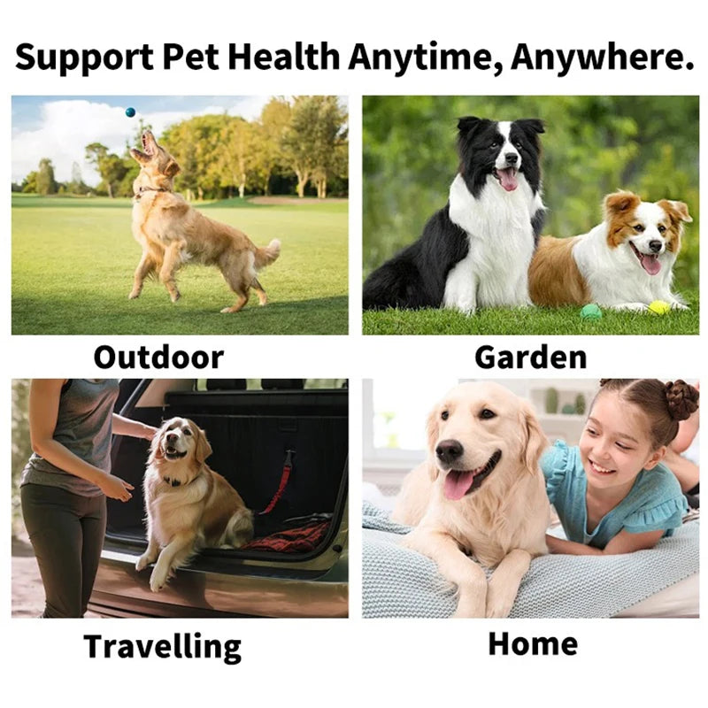 Disposable Finger Toothbrush for Dogs & Cats - Pet Teeth Cleaning Wipes (50 Pack)
